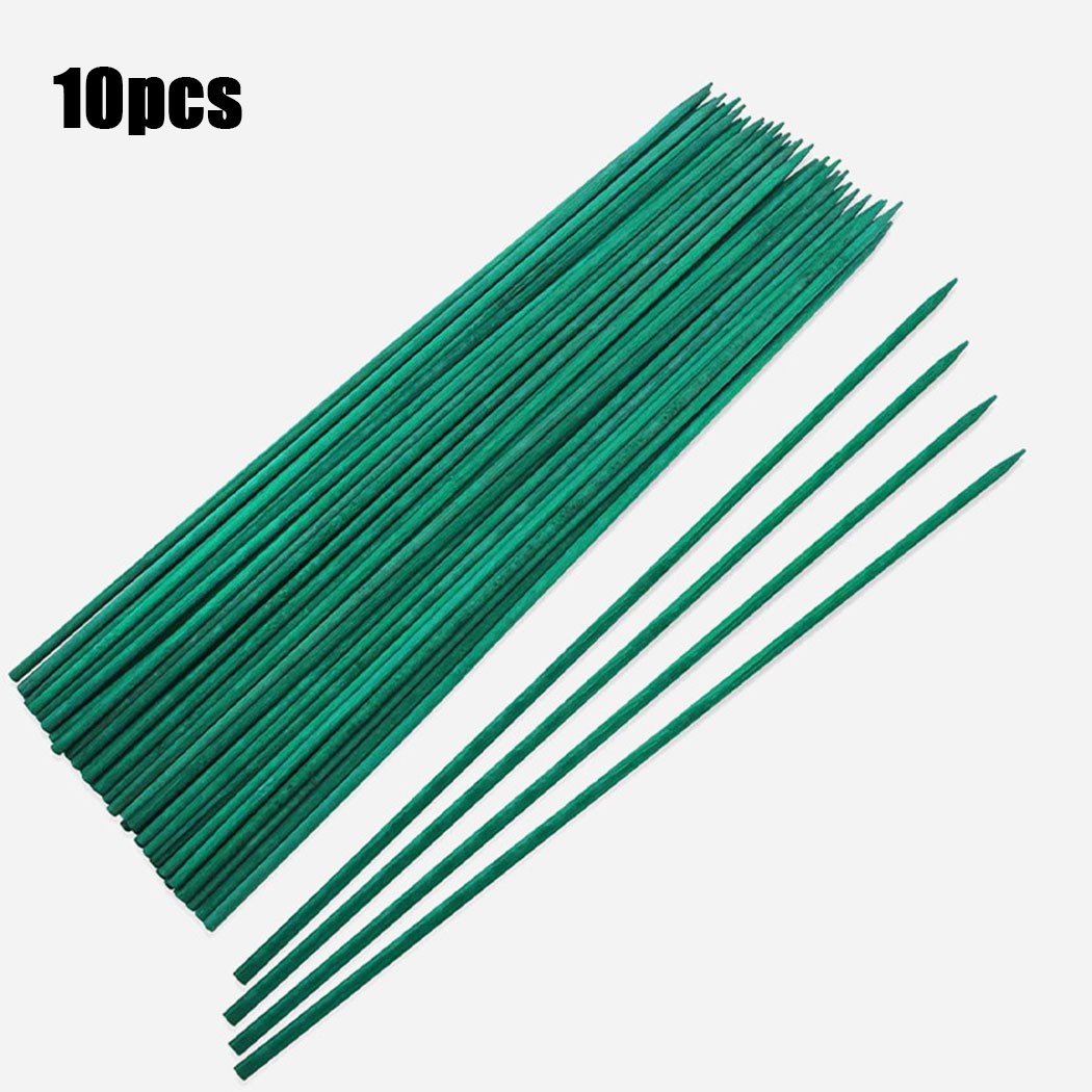 10Pcs 40ซม.พืชสีเขียวสนับสนุน  - Florist Supp บทวิจารณ์และราคา