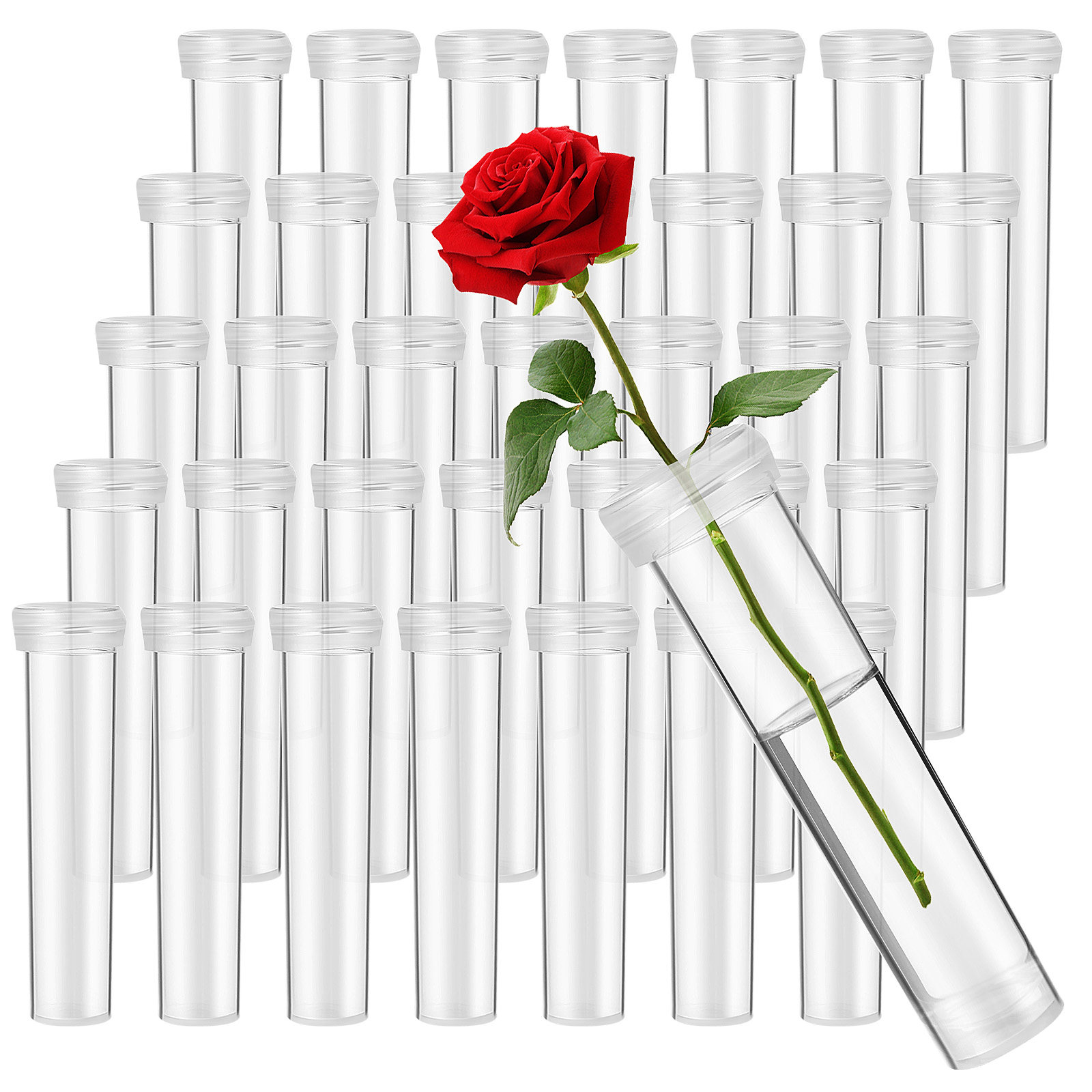 หลอดน้ำสำหรับดอกไม้ 100 ชิ้น ห - The Florist Supply บทวิจารณ์และราคา