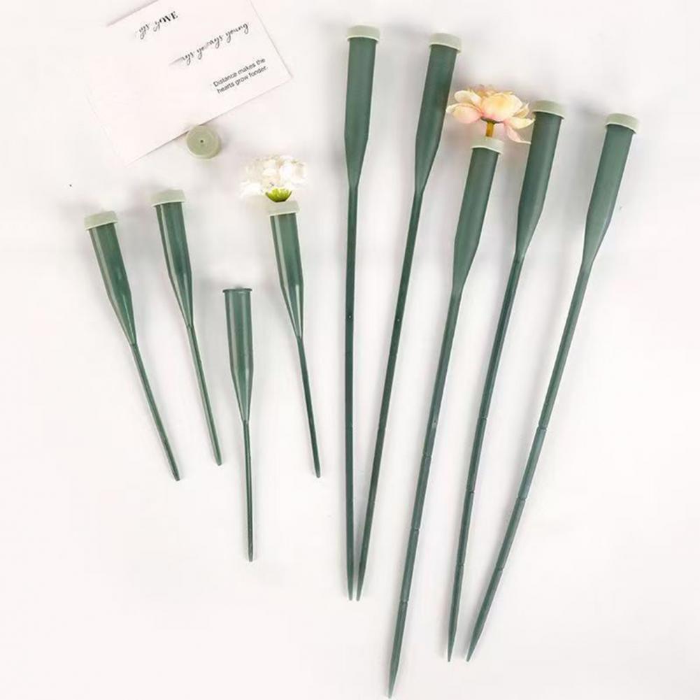 หลอดดอกไม้ขนาด 6 นิ้ว/12 นิ้ว  - The Florist Supply บทวิจารณ์และราคา