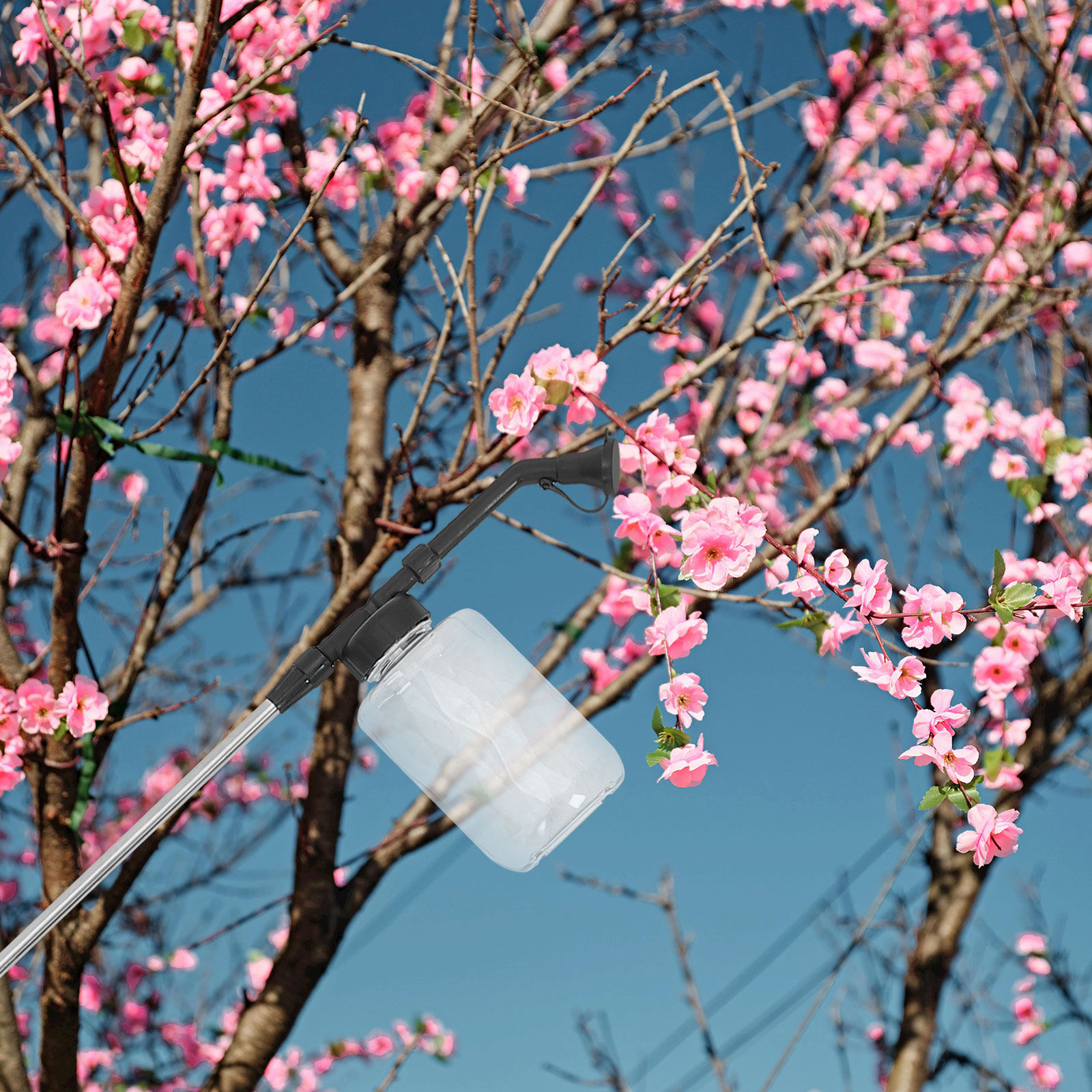 ไม้ปัดฝุ่นแบบมือถือสำหรับการผส - Flower Supplies บทวิจารณ์และราคา