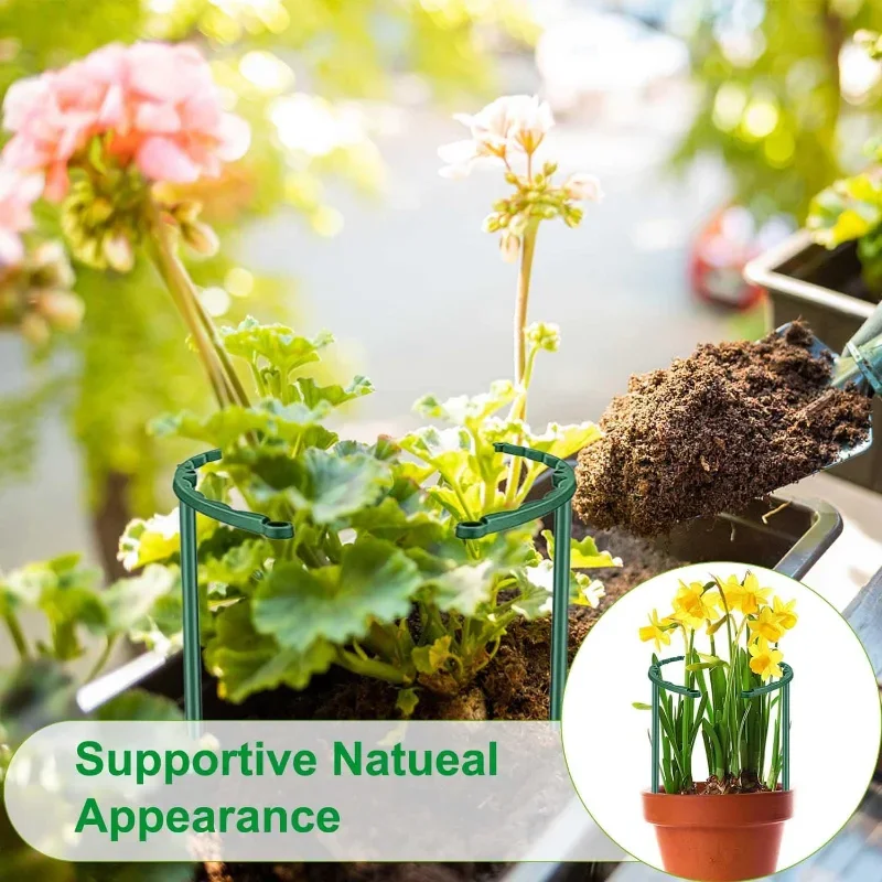 เสาค้ำต้นไม้พลาสติก สำหรับดอกไ - Florist Supp บทวิจารณ์และราคา