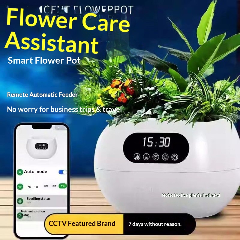 กระถางดอกไม้อัจฉริยะ AI รดน้ำอ - Flower Supplies บทวิจารณ์และราคา