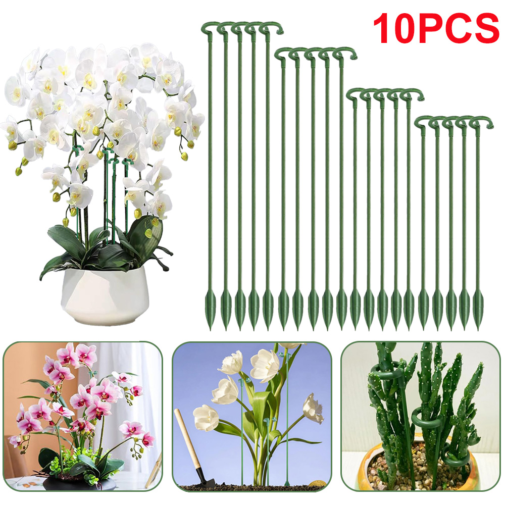 เสาค้ำต้นไม้ 5/10 ชิ้น สำหรับย - Florist Supp บทวิจารณ์และราคา