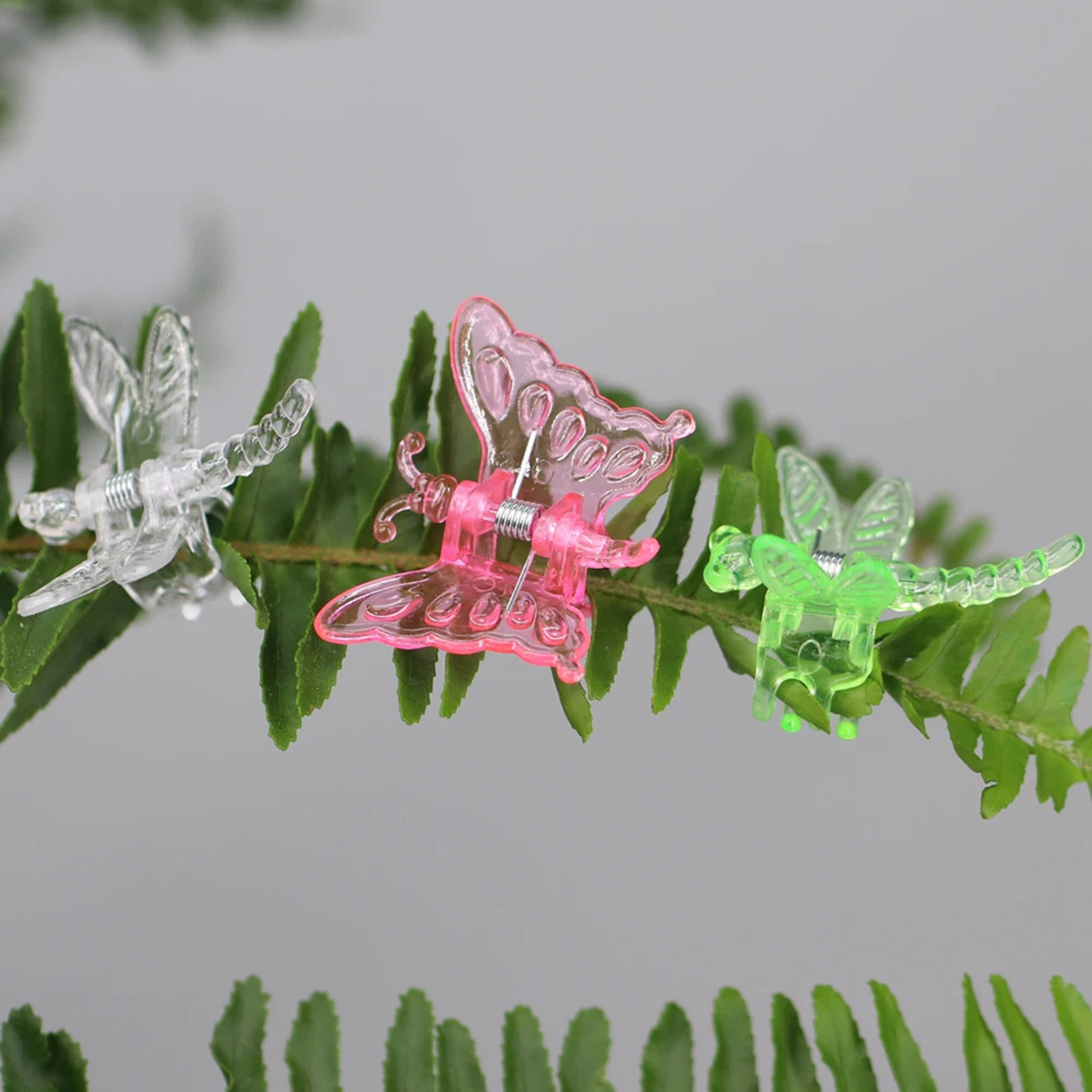 100pcs Plant Orchid คลิปสีโปร่ - Florist Supp บทวิจารณ์และราคา